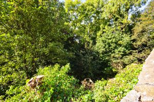 Photo 36- click for photo gallery